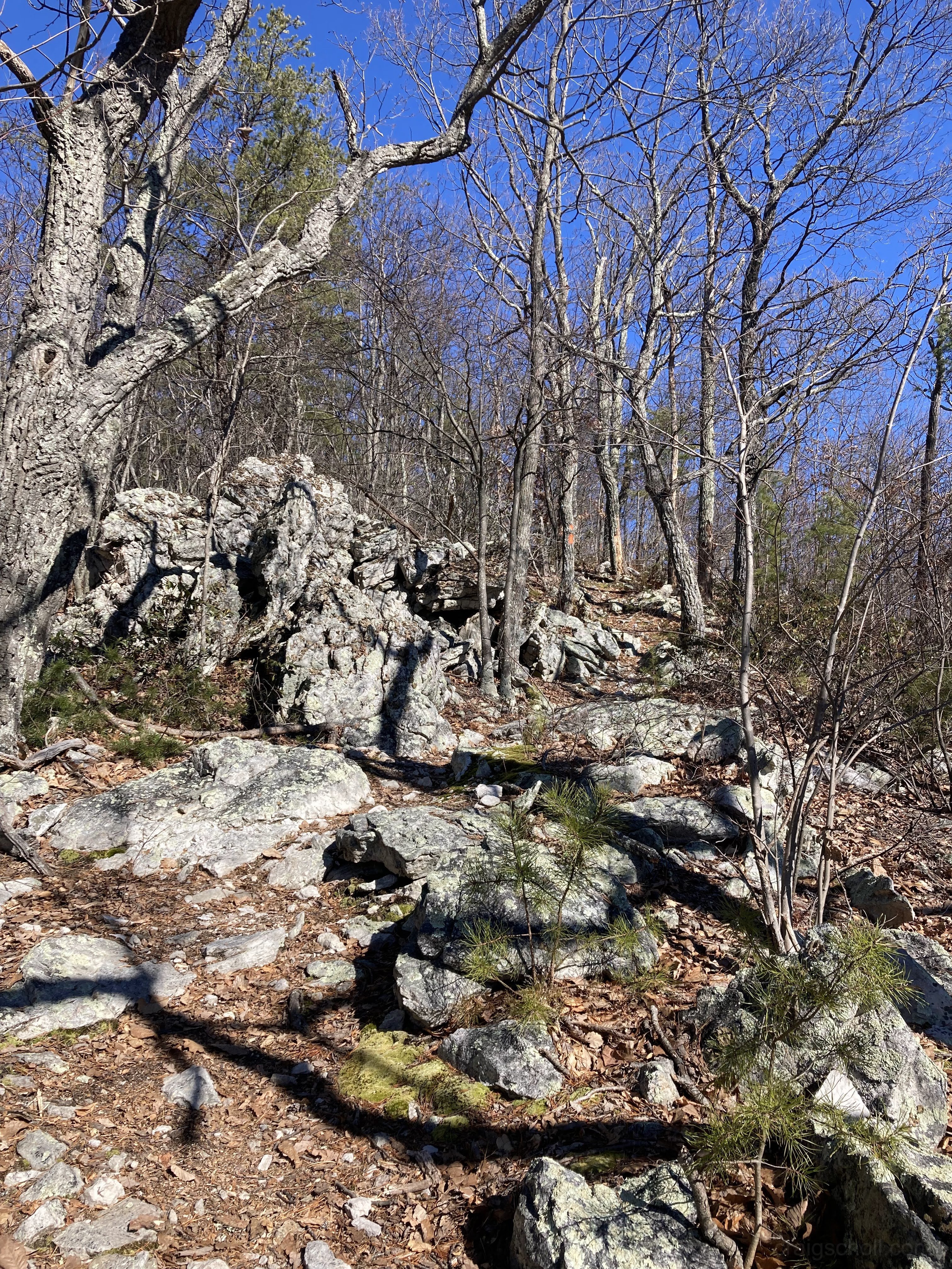 Trail skirts to the right