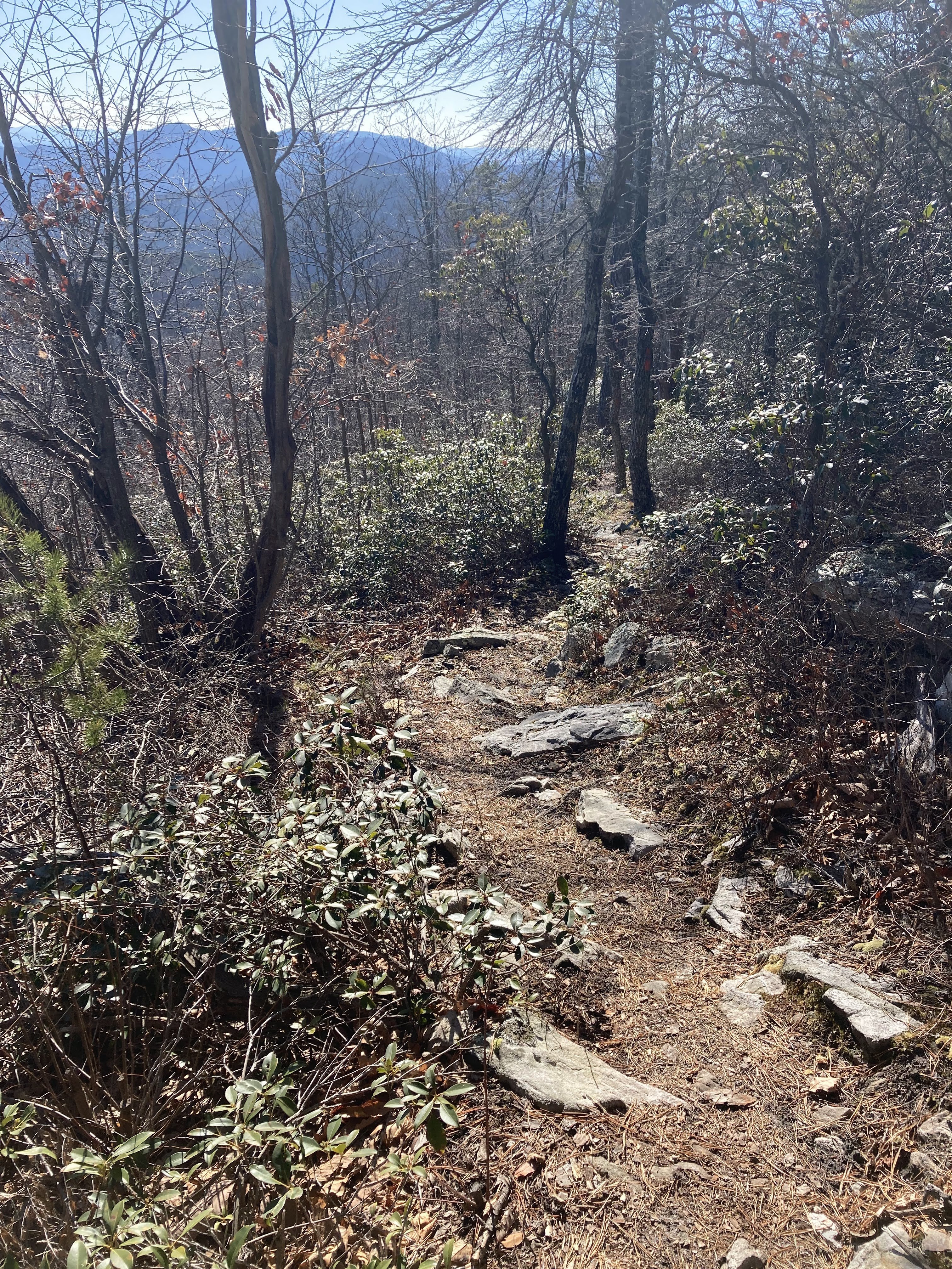 Up on the ridge