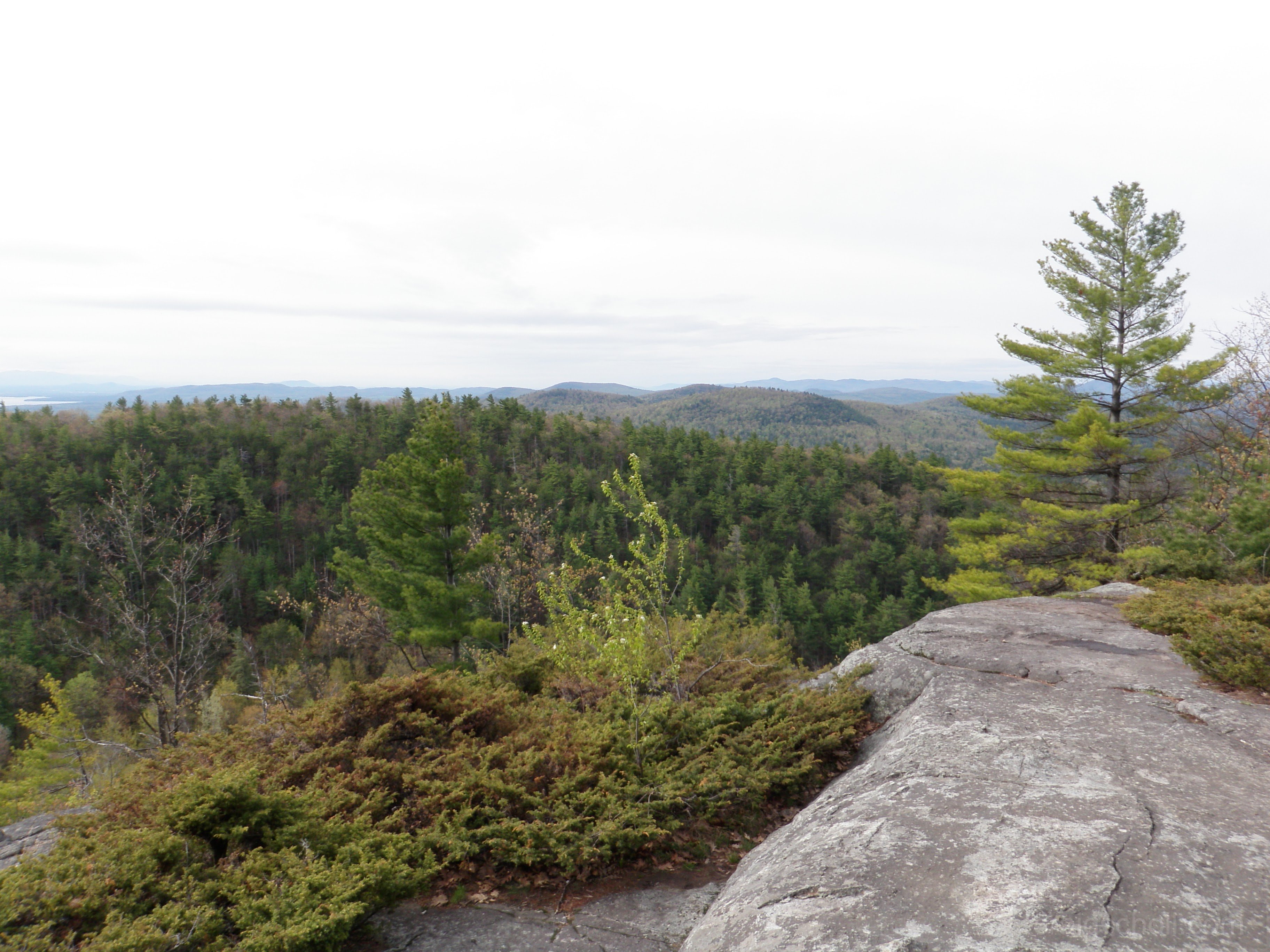 Views south