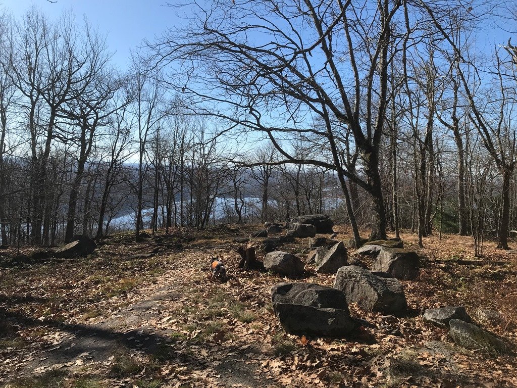 Views west