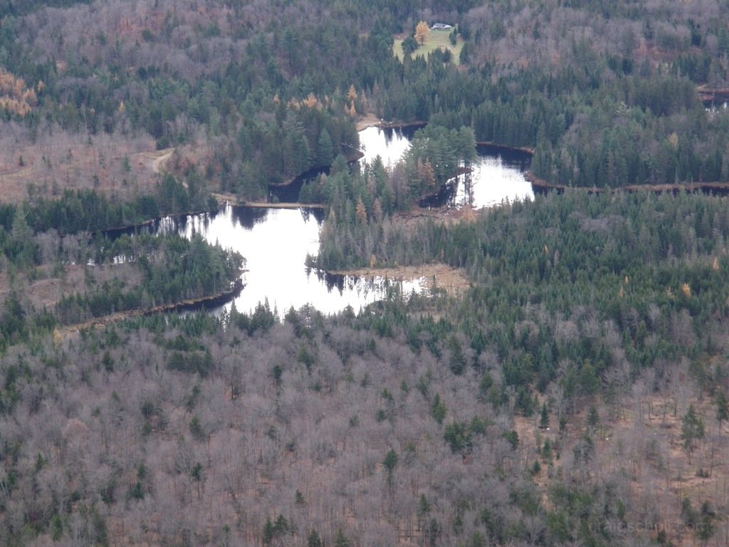 Zoomed